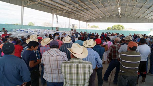 400 productores beneficiados con fertilizante gestionado ante SAGARPA