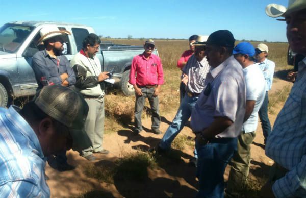 Productores demandan pago de seguro catastrófico