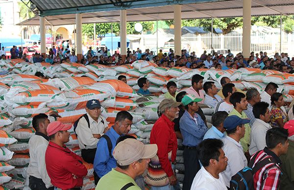 Productores de café de Soteapan reciben insumos