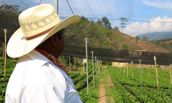 Ganaremos nosotros, los más sencillos. ¡Ganaremos!