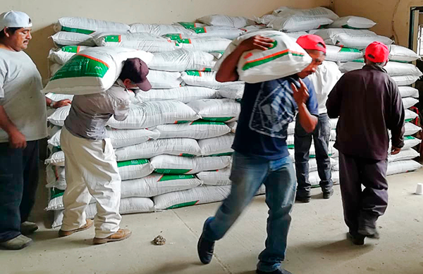 ¡Campesinos mixtecos sí producirán en sus tierras!