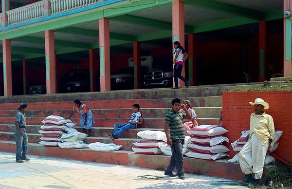 Gobierno antorchista beneficia con fertilizante a productores de maíz en la Cañada