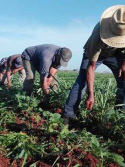 ¿Quién y cómo defiende al pueblo trabajador?