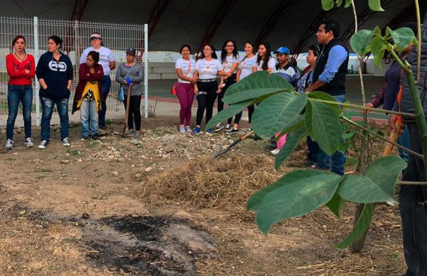 Mejoran entorno con la plantación de árboles 