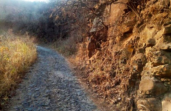 Urge pavimentar tramo carretero Tequila-El Naranjo