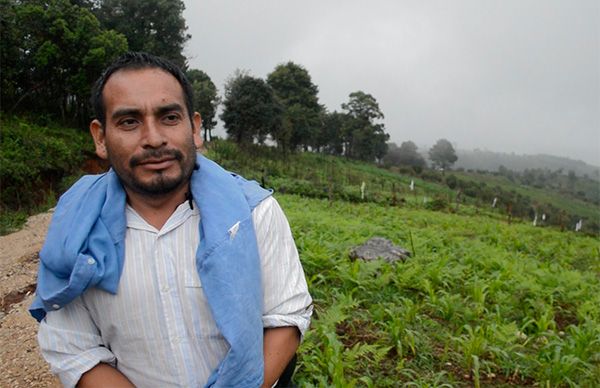 AMLO miente, los apoyos al campo no han llegado: campesino chiapaneco