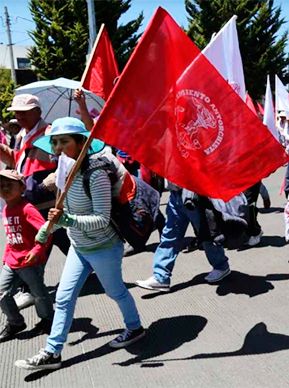 La única alternativa: la unidad de todos los mexicanos