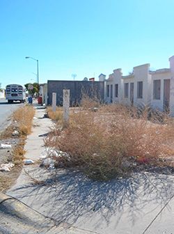 Ante la pandemia, casas abandonadas deben de ser regularizadas