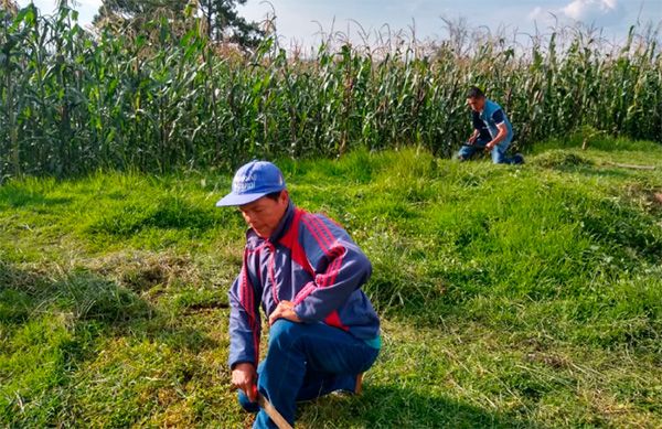 Antorchistas realizan faena en colonia de Tlaxcala