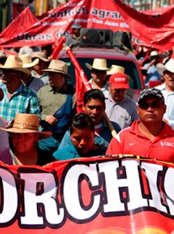 Antorcha nada contra corriente 