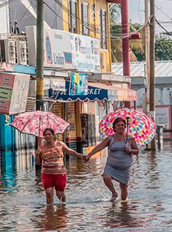 Agua de Tabasco vengo, agua de Tabasco voyâ?