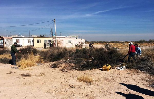 Logran lotes para vivienda en Gómez Palacio