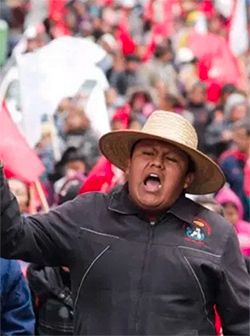 Trabajo y salud para todos