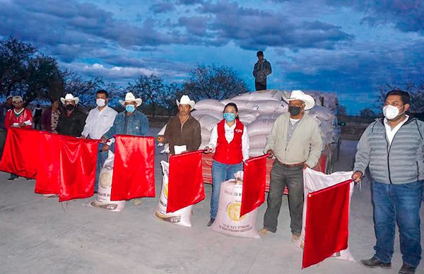 Subsidia gobierno de Santo Domingo semilla a campesinos