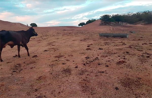 Crisis agrícola y pandemia azotan costa norte de Jalisco