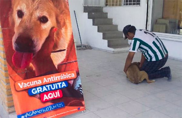 La atención de mascotas es un asunto de salud pública: Antorcha