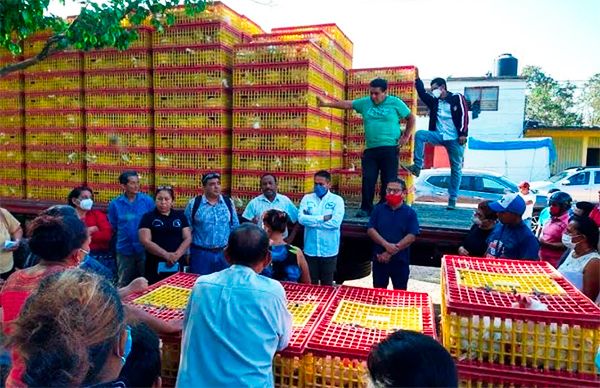 Reciben gallinas de postura familias de Xochistlahuaca, Igualapa y Ometepec