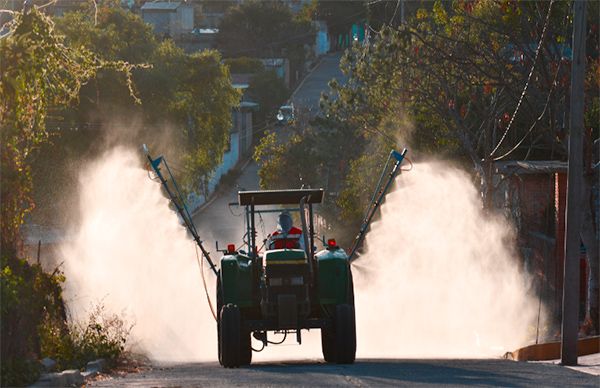 Desinfectan calles en Santa Inés Ahuatempan