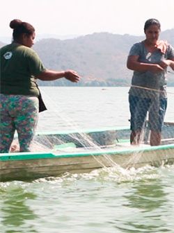 Pandemia y afectaciones económicas azotan a la costa oaxaqueña