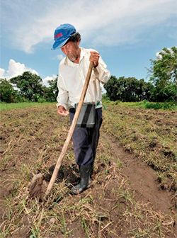 Campesinado indígena se ve afectado por acomodos de la 4T