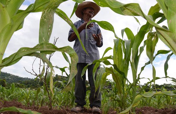 Gobernador de Guerrero debe atender a campesinos