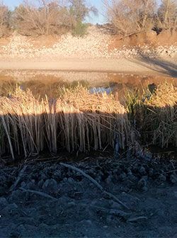 El agua potable es un derecho que no se respeta en Nuevo León