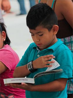 Urge atender también a los estudiantes de Quintana Roo