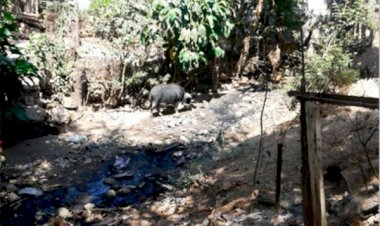 Van colonos de Coyuca de Benítez por drenaje y pavimentaciones