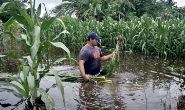 La precaria vida en el campo