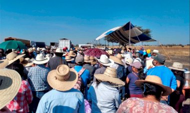 Exigen fertilizante agricultores de la Mixteca