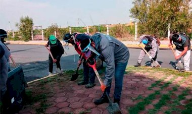 Rehabilitan áreas verdes y espacios públicos