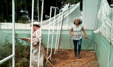 Se alistan floricultores de Tenancingo para venta de flor del 10 de Mayo