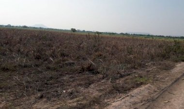 Antorcha solicita apoyos para campesinos de Mante