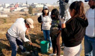 Realizan vecinos jornada de reforestación