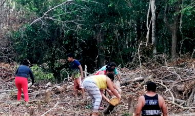 Avanza a paso veloz la segunda etapa de la Col. Unidad Antorchista de Tulum