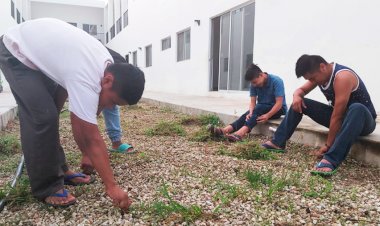 Siembra albergue estudiantil semilla de trabajo en equipo en jóvenes