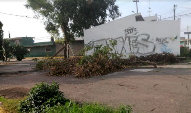 Autoridades de limpia municipal abandonan restos de árboles en Santo Tomás Chiconautla