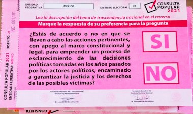 La consulta popular sin tomar en cuenta al pueblo 