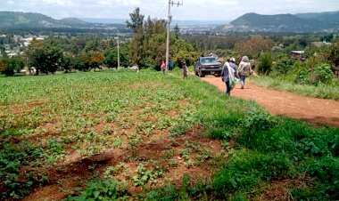 Trabajo en equipo, ejemplo de líderes antorchistas en RTC