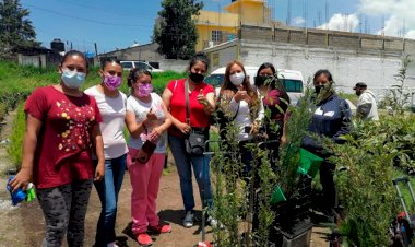 Antorcha reforesta colonias populares de Nicolás Romero