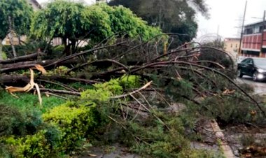 Sin energía eléctrica en la Sierra Norte