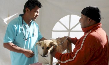 Realizan esterilización canina y felina en El Salado