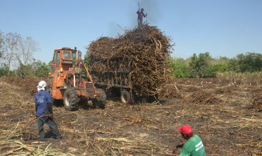 La falta de apoyo al campo provoca severa crisis alimentaria 