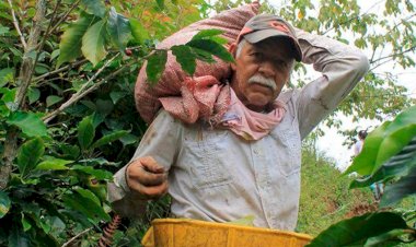 El campesino muere cultivando