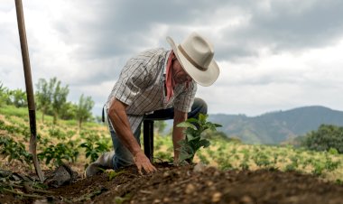 Apoyos para el campo y la 4T