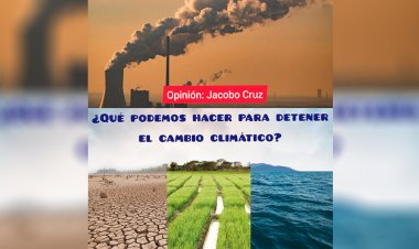 ¿Qué podemos hacer para detener el cambio climático?