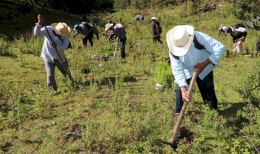 Urge rescatar el campo colimense