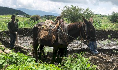 PEF 2022, injusticia histórica para el pueblo de México