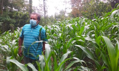 Necesario invertir más recursos al campo guerrerense