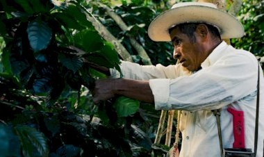 Cafeticultores de Huitzilan de Serdán, Puebla